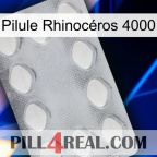 Pilule Rhinocéros 4000 16